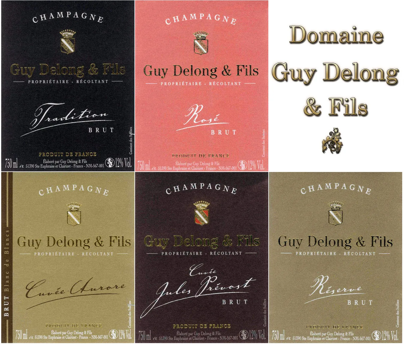Champagne Guy Delong & Fils