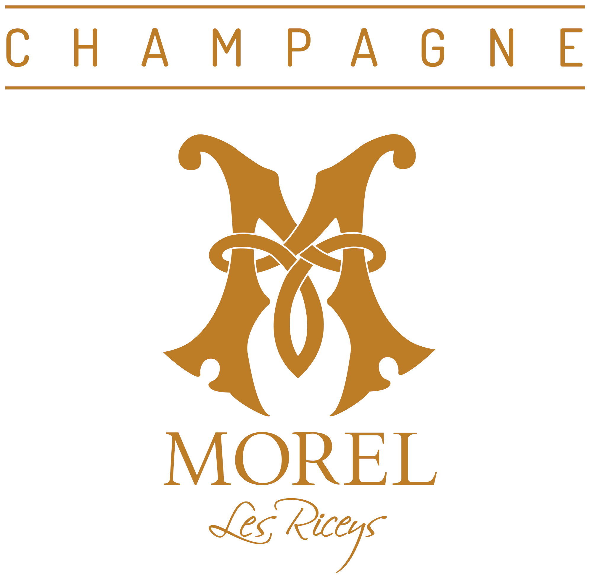 Champagne Morel Père & Fils