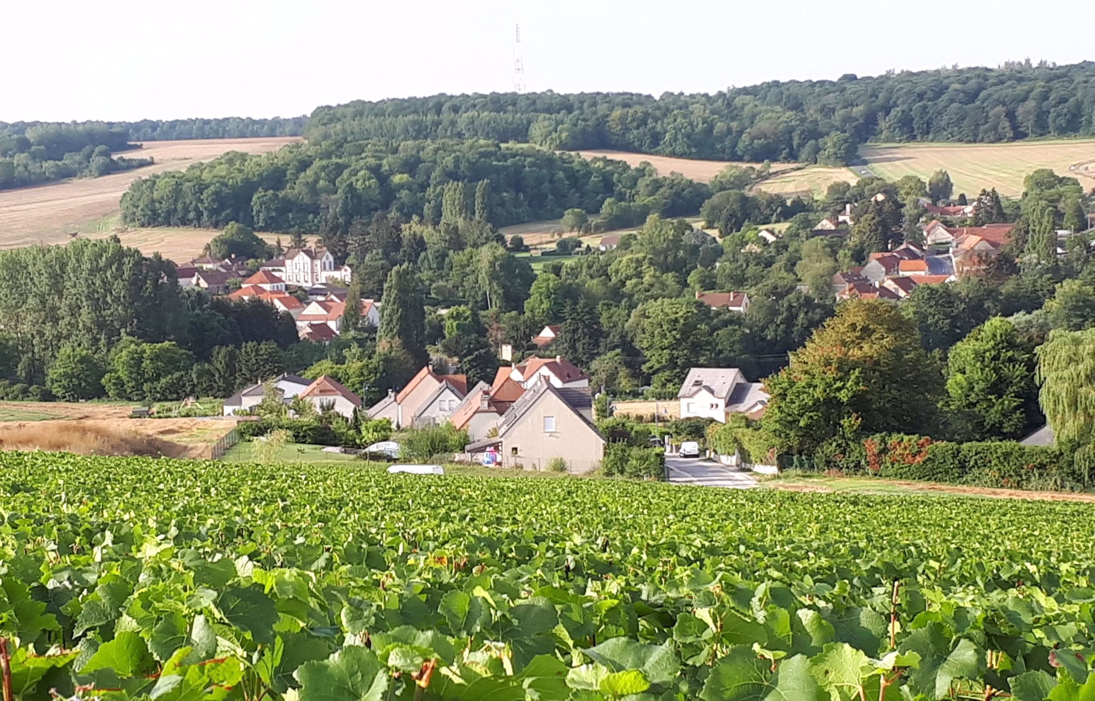 Nanteuil la Forêt