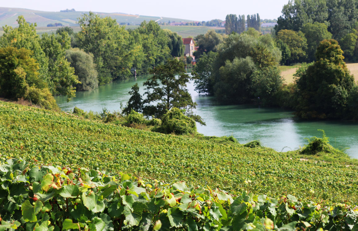 Weinberge Fluss Marne