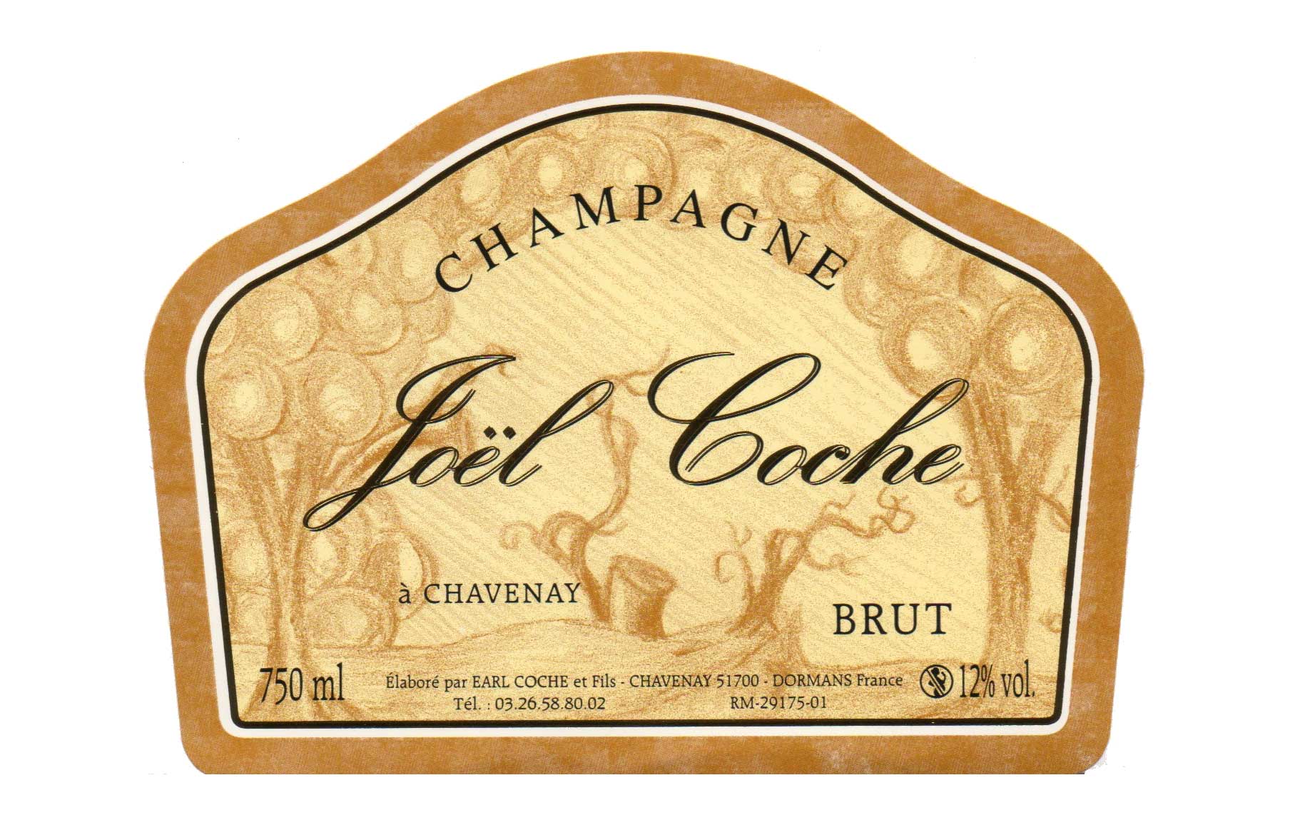 Champagne Joel Coche