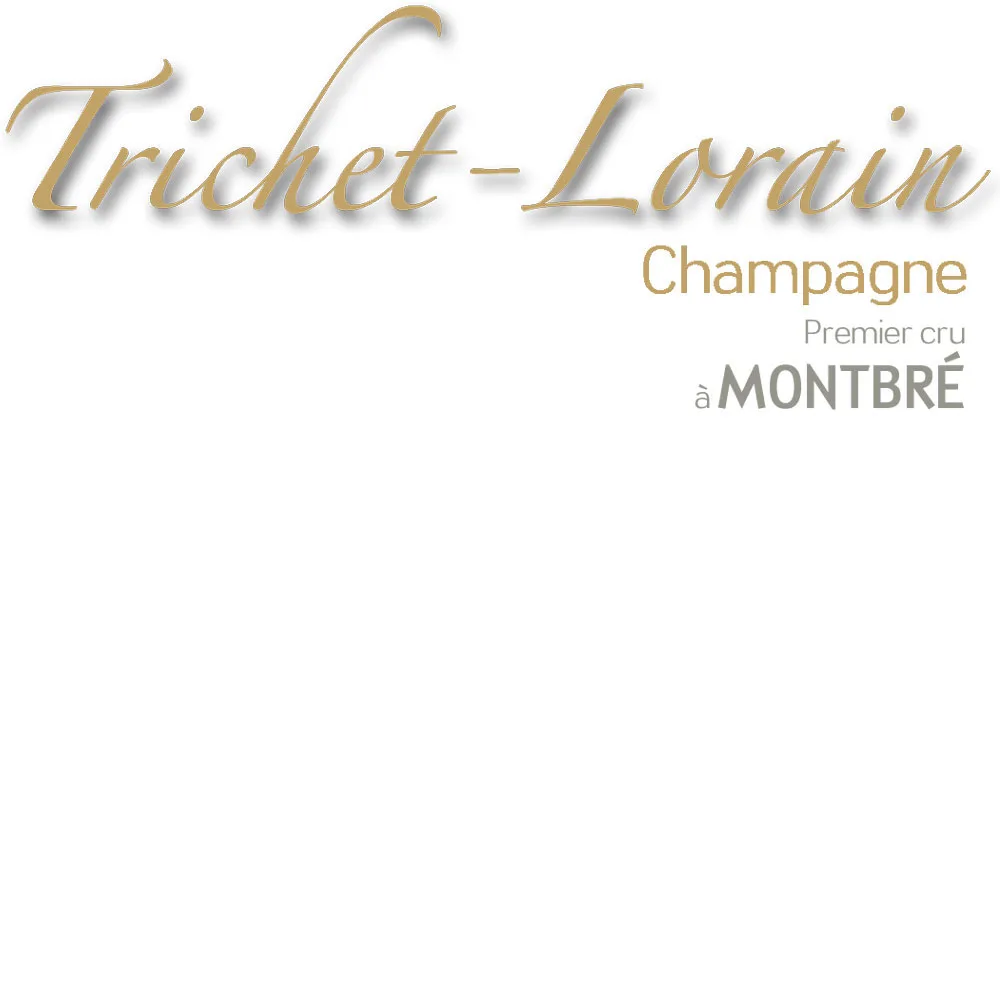 Champagne Trichet Lorain Jean-Baptste Trichet Blanc de Blancs Premier Cru 0,75 l